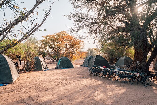 9 Day Etosha, Skeleton Coast and Sossusvlei Camping and Lodge Safari - Day 7: Your choice of adventure before the desert