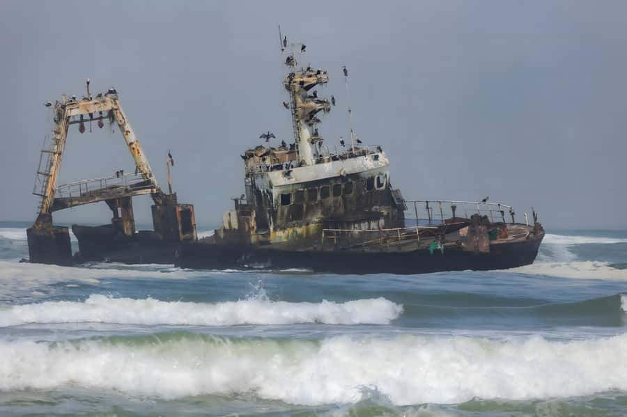 Cape Cross and Henties Bay Guided Tour SkeletonCoast Namibia - Key points to know before booking