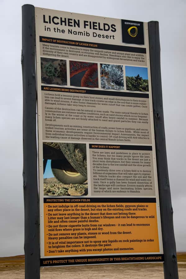 Cape Cross and Henties Bay Guided Tour SkeletonCoast Namibia - Who will enjoy this day most?