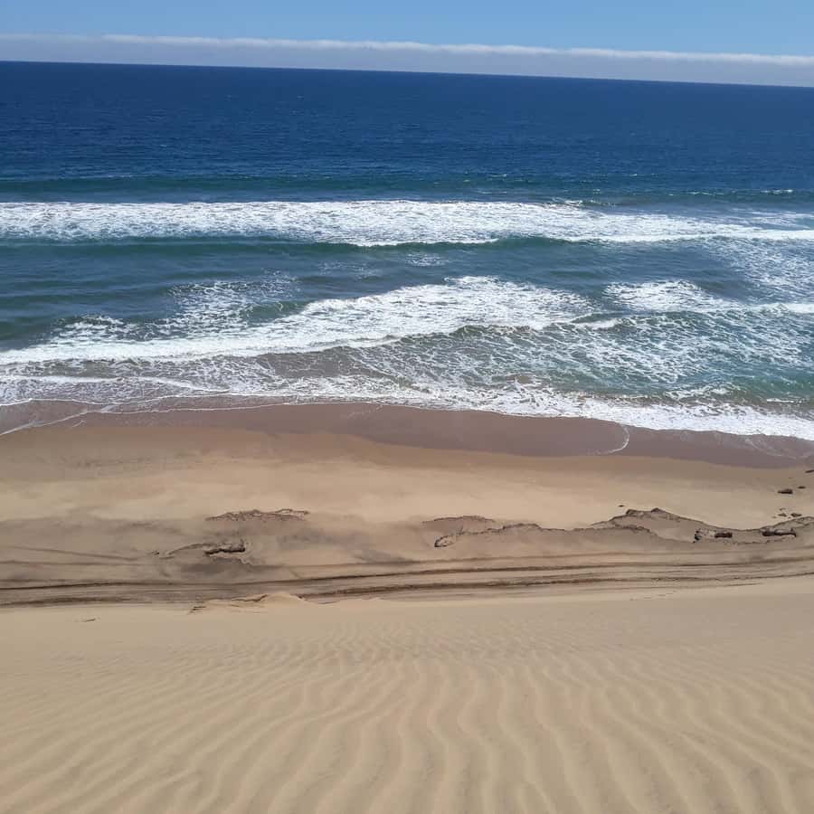 Catamaran Dolphin Cruise and Sandwich Harbour Tour - Walvis Bay wetlands and the Pink Salt Lakes
