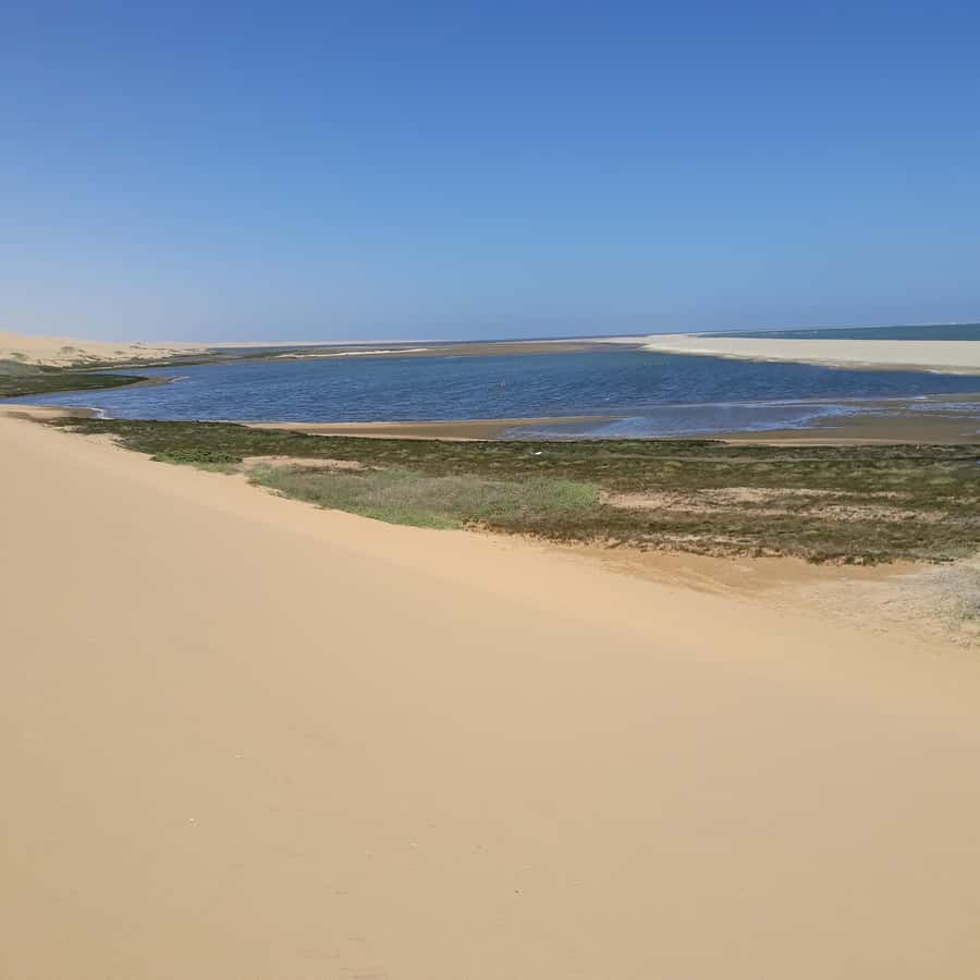 Catamaran Dolphin Cruise and Sandwich Harbour Tour - Into the Nara Valley by 4x4