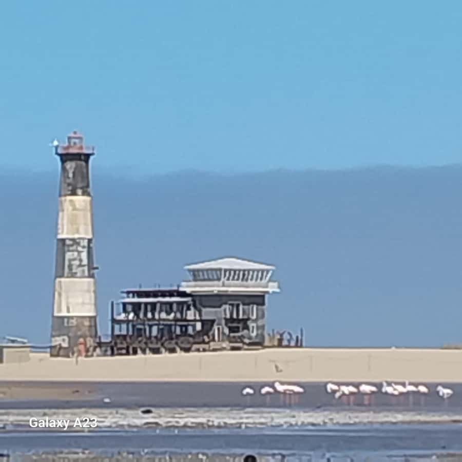 Catamaran Dolphin Cruise and Sandwich Harbour Tour - Pelican Point, the lighthouse, and a seal colony