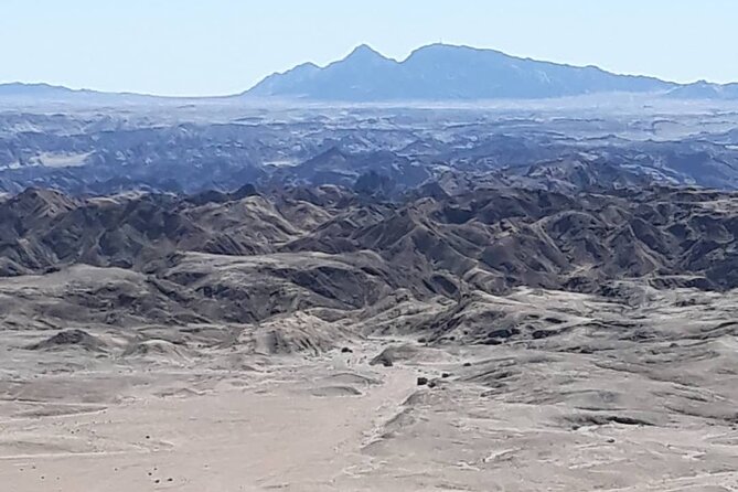 Cruise liner Special: Swakopmund and Namib Desert Highlights - Lichens on the Namib gravel plains