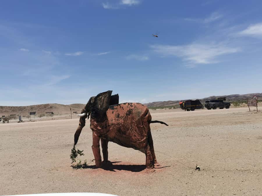 Elephant Adventure with Herson - a native of Damaraland - Giraffes and Smaller Wildlife Along the Way
