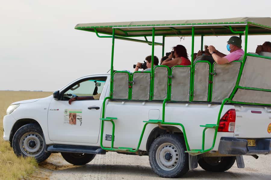 Etosha National Park: Full or Half-Day Game Drive - Key points to know before you book