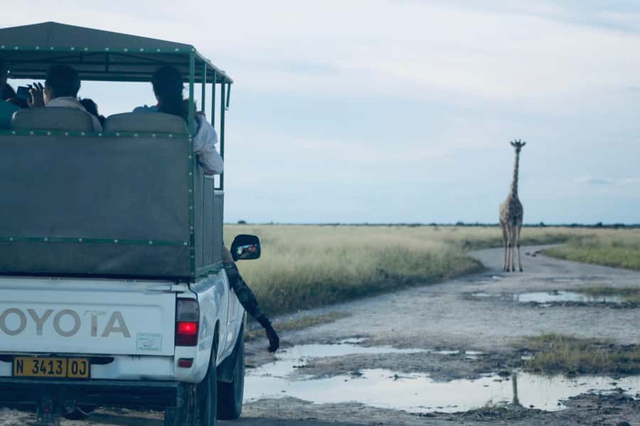 Etosha National Park: Full or Half-Day Game Drive - What to pack for a more comfortable day