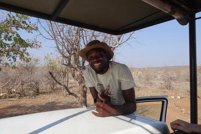 ETOSHA PARK SAFARI with local guides in 9-seater 4x4s - Breaks, food, heat, and the practical side