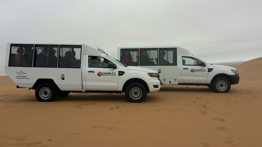 From Swakopmund: Living Dunes Experience - Key points to know before you go