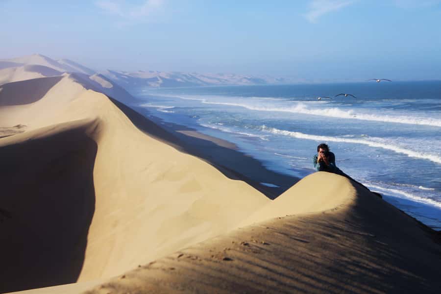 From Walvis Bay: Sandwich Harbor 4x4 Tour - Flamingos and birdlife around Walvis Bay Lagoon