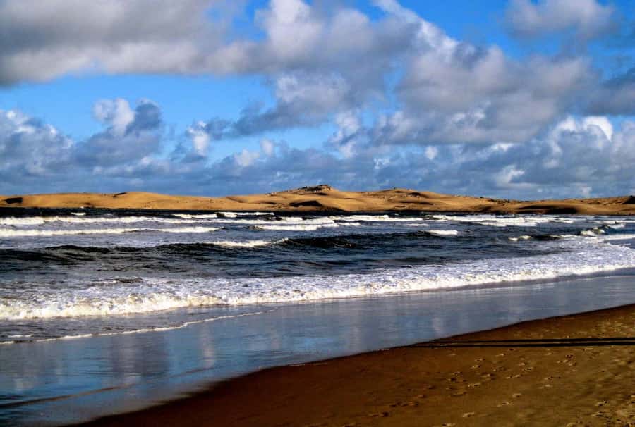 From Walvis Bay: Sandwich Harbour World Heritage Site - The 4x4 ride toward Sandwich Harbour