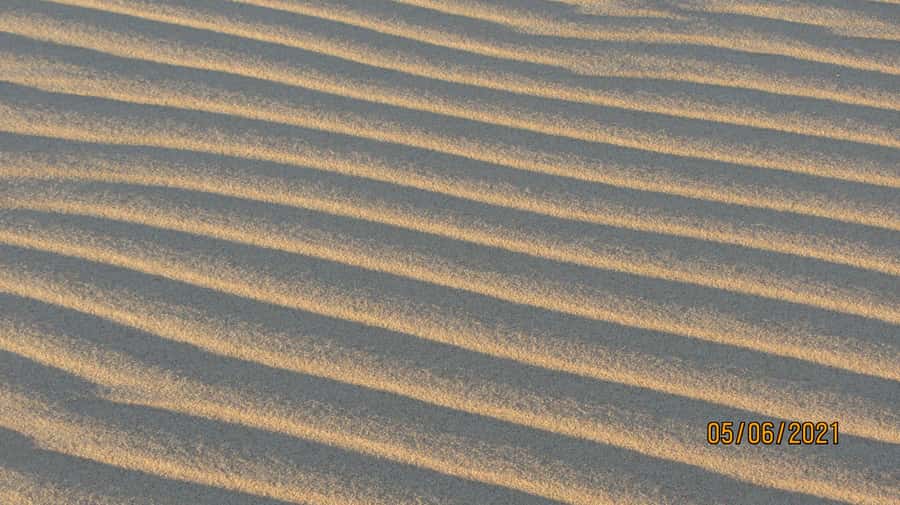From Walvis Bay: Sandwich Harbour World Heritage Site - Driving the beach to the Sandwich Harbour lagoon