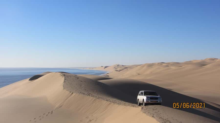 From Walvis Bay: Sandwich Harbour World Heritage Site - Optional sandboarding for a bit of mischief