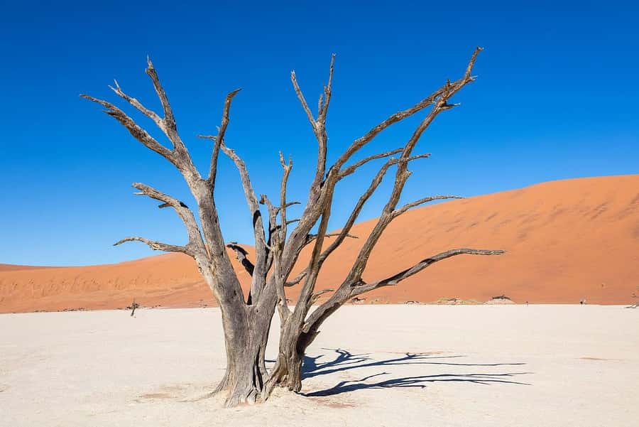 From Windhoek: 3-Day Sossusvlei Shared Shuttle Tour - Windhoek pickup and the long road south