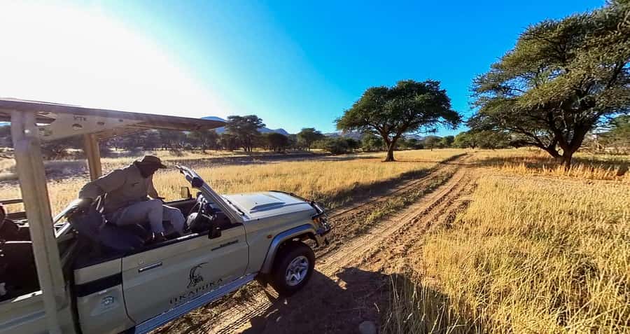 From Windhoek: Okapuka Safari Lodge Day Trip - Key points before you book