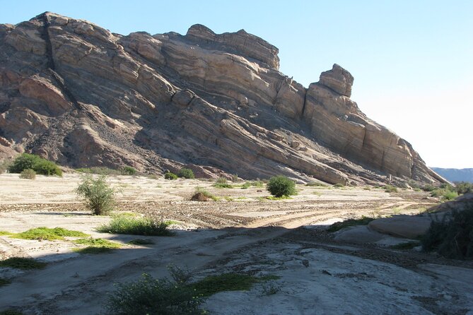 Full-Day Tour in Namib Desert from Swakopmund, Namibia - Wildlife sightings depend on luck