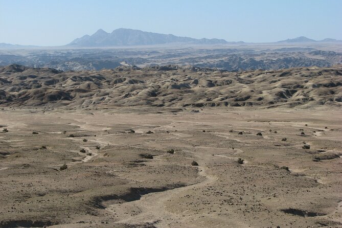 Full-Day Tour in Namib Desert from Swakopmund, Namibia - The picnic lunch makes a long outing easier