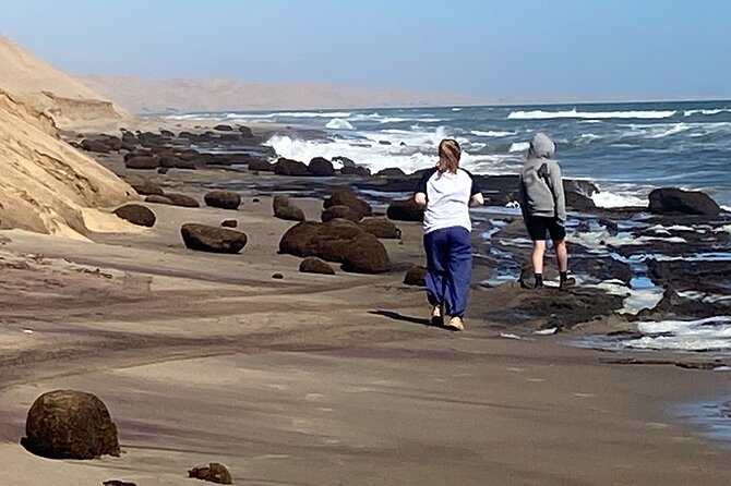 Full Day Tour Shipwreck Sandwich Harbour Adventure - Who should book this excursion?