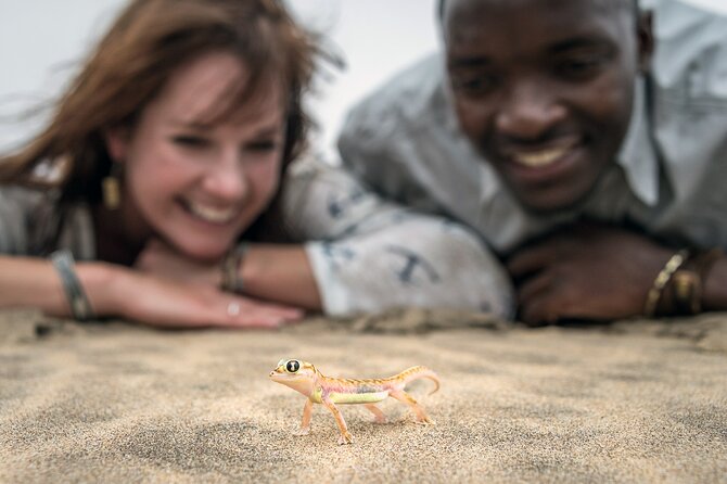 Half-Day Sandwich Harbour Tour from Walvis Bay with Lunch - Is $143.07 good value for four hours?