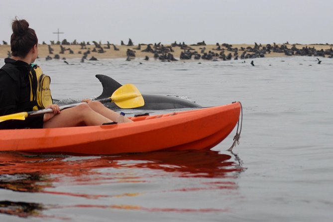 Kayaking and Sandwich Habour Guided Day Tour from Walvis Bay - Pelican Point kayaking on the Atlantic