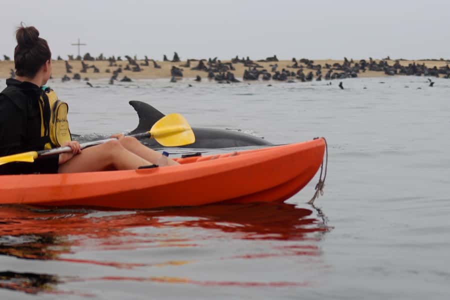 Kayaking and Sandwich Harbour Combo Tour - Why this combo works so well in Walvis Bay