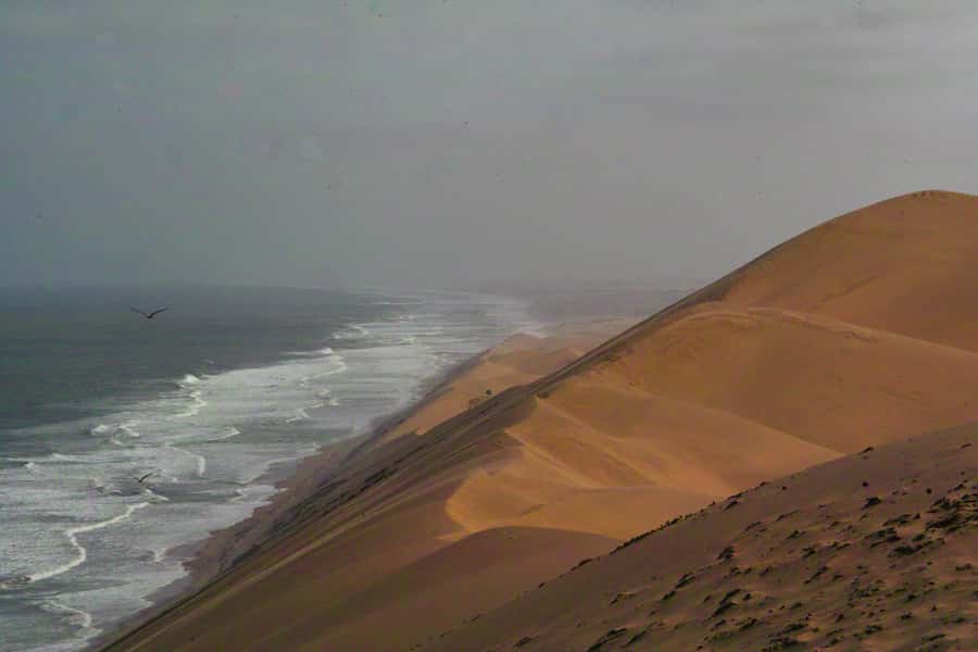 Kayaking and Sandwich Harbour Combo Tour - The handover from kayak to desert vehicle