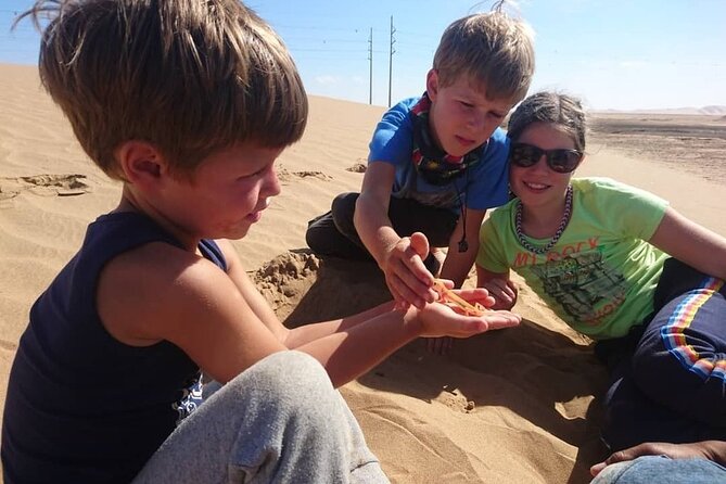 LIVING DESERT TOUR (Little 5 tour) - Flamingos and coastal birds near Walvis Bay