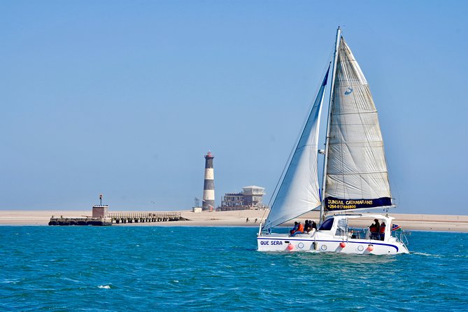 Marine Dolphin Seal Cruise - Pelican Point, the lighthouse, and the seal colony
