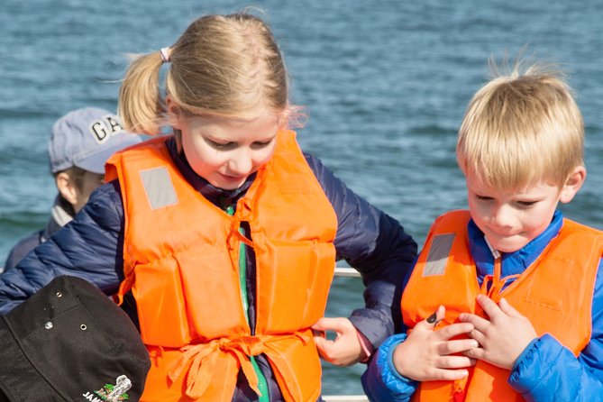 Marine Dolphin Seal Cruise - The crew and the quality of the guiding