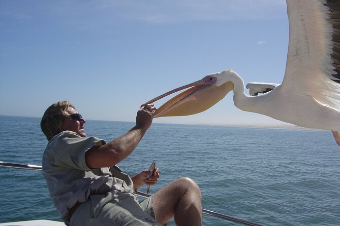 Marine Dune Day: Catamaran Cruise and Sandwich Harbor Dune Drive - Who should book this experience?