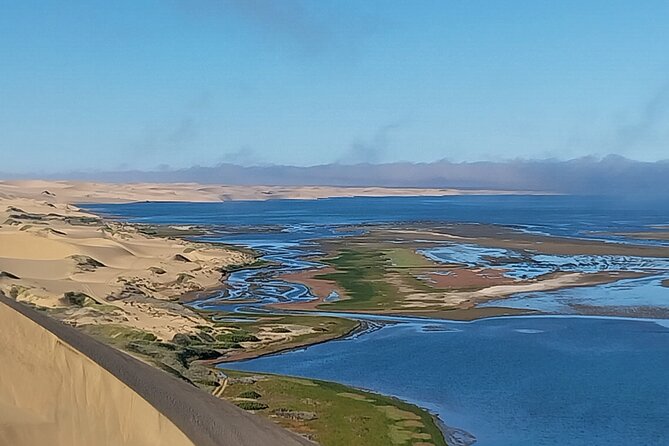 Marine Dune Day: Catamaran Cruise and Sandwich Harbor Dune Drive - From flamingos to pink salt lakes