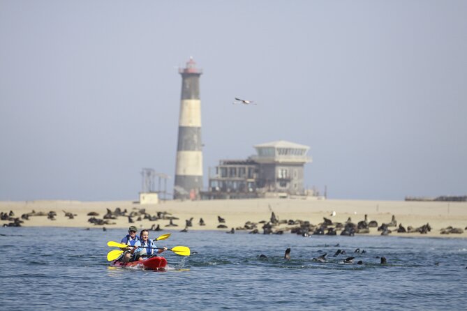 Mola Mola Kayaking Experience with a Licensed Guide - Warm drinks and equipment on the empty beach