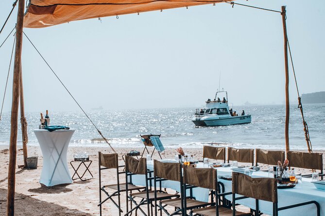 Mola Mola Marine Dolphin Cruise & Beach Braai on Pelican Point - Key points before you book
