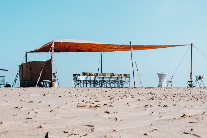 Mola Mola Marine Dolphin Cruise & Beach Braai on Pelican Point - Who will get the most from this cruise