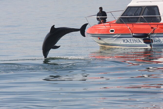 Mola Mola Marine Dolphin Cruise from the Walvis Bay Waterfront to Pelican Point - Who will enjoy this cruise most?