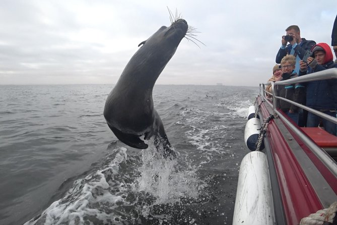 Mola Mola Marine Dolphin Cruise from the Walvis Bay Waterfront to Pelican Point - Cruising through Walvis Bay’s protected waters