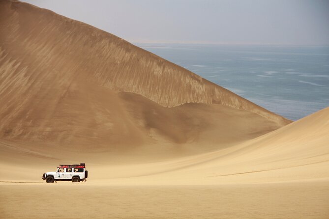 Mola Mola Marine Dune Experience - Why this Walvis Bay combination works