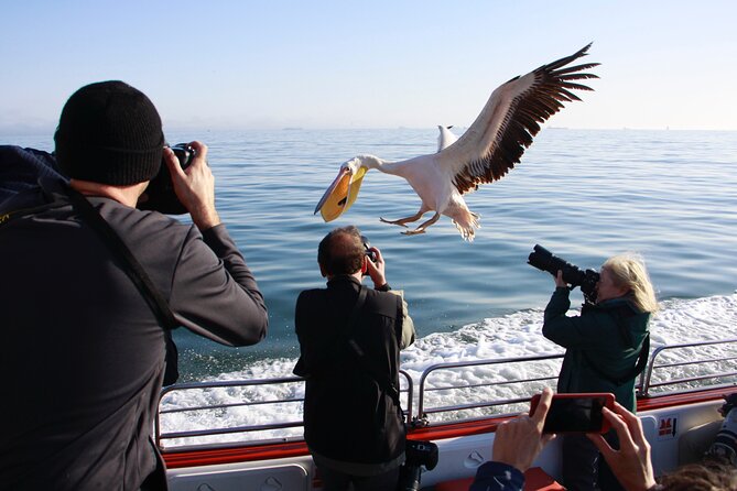 Mola Mola Marine Dune Experience - Oysters, seals, and the human side of the cruise