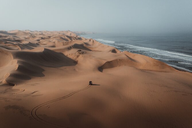 Mola Mola Marine Dune Experience - Lunch, snacks, and what the price covers