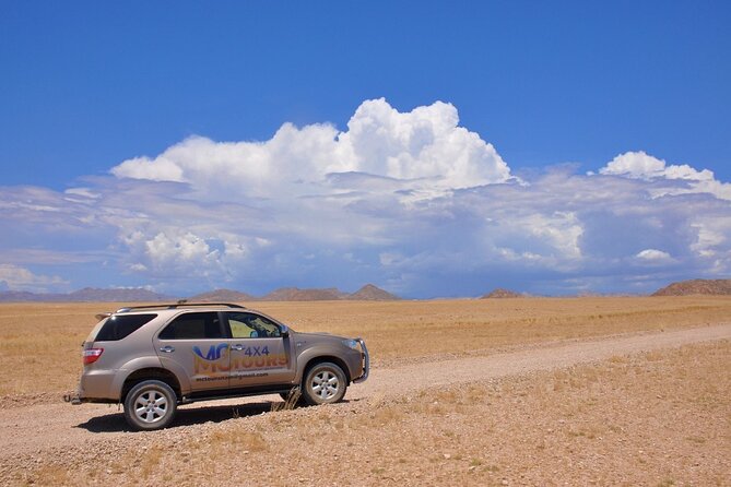 Namib Desert Landscape Tour - Key points to know before you go