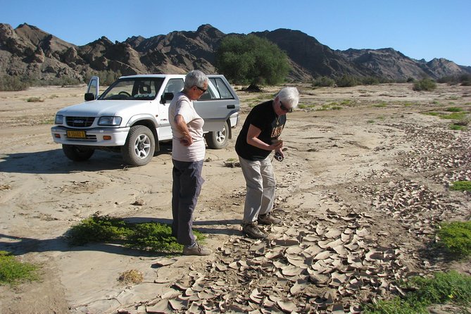 NAMIB DESERT TOURS, Full-Day and Half-Day Tours from Swakopmund, Namibia - How Much Is Seven Hours Worth at $75.16?