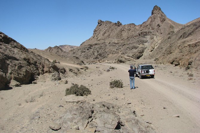 NAMIB DESERT TOURS, Full-Day and Half-Day Tours from Swakopmund, Namibia - Ringing Stones and Plants That Look Like Rocks