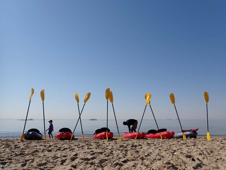 Pelican Point: Kayak with Seals Experience - Key details before you book
