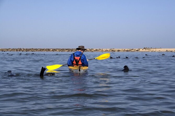 Pelican Point Seal Colony 4x4 Tour - Key points at a glance