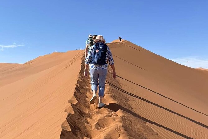 Pelican Point tours,Lagoon tours, Dune7 Adventure - The shipwreck and the story of the coast