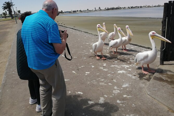 Pelican Point tours,Lagoon tours, Dune7 Adventure - Climbing Dune 7 at 383 meters