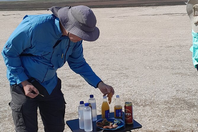 Pelican Point tours,Lagoon tours, Dune7 Adventure - Price, timing, and who gets the best value