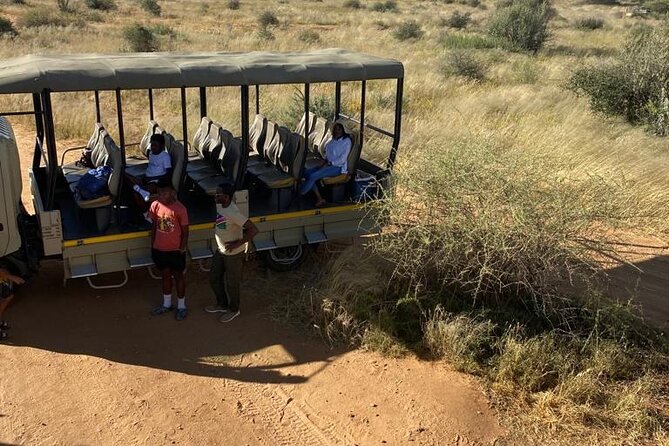 Predator Encounter: Half-Day Carnivore Feeding Windhoek - What this Windhoek carnivore tour really offers