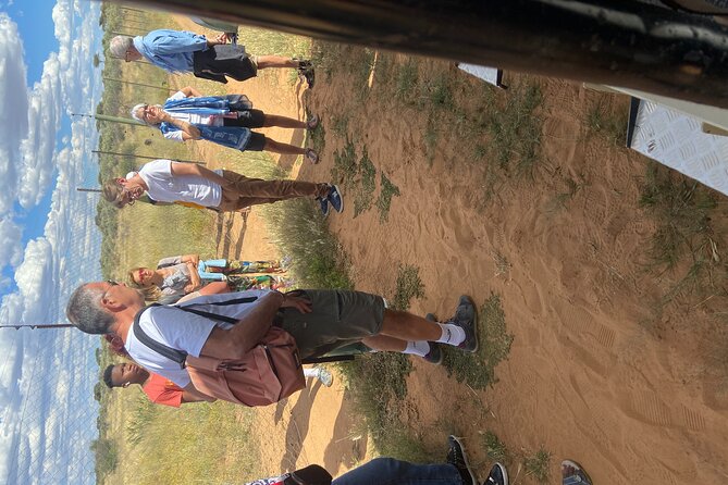 Predator Encounter: Half-Day Carnivore Feeding Windhoek - How the feeding session works