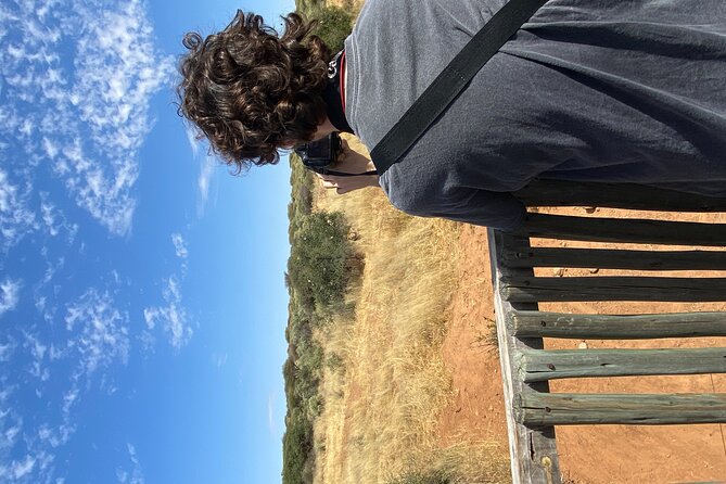 Predator Encounter: Half-Day Carnivore Feeding Windhoek - The reserve drive adds a second kind of wildlife viewing