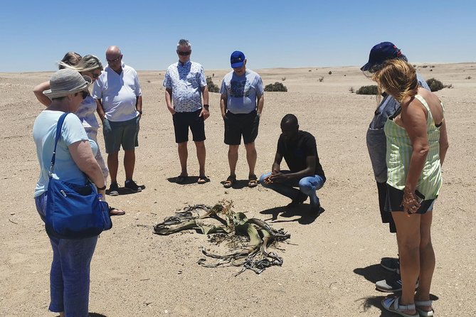 Private Half Day Coast Tour of Walvis Bay and Swakopmund City - Five things to know before you book